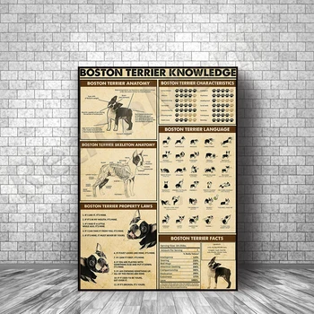 Bostonski Terier Znanje Brez Okvirjev Plakat, Bostonski Terier, Tiskanje, Živali Dekor Platno, Print Image